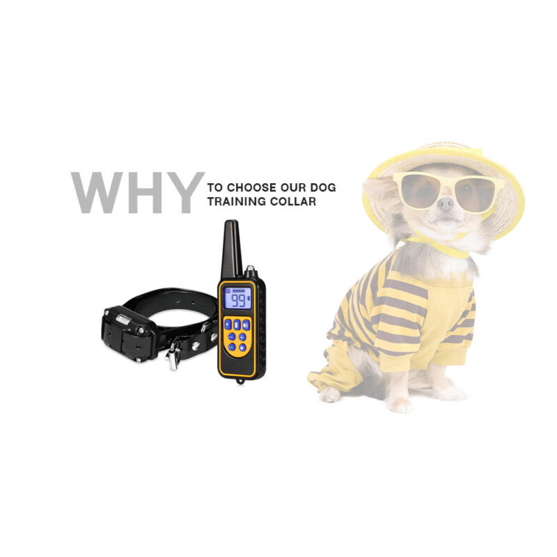 Αδιάβροχο επαναφορτιζόμενο ηλεκτρικό κολάρο εκπαίδευσης σκύλων με τηλεχειριστήριο 800m - Image 13