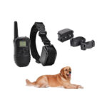 Ηλεκτρονικό κολάρο εκπαίδευσης σκύλου