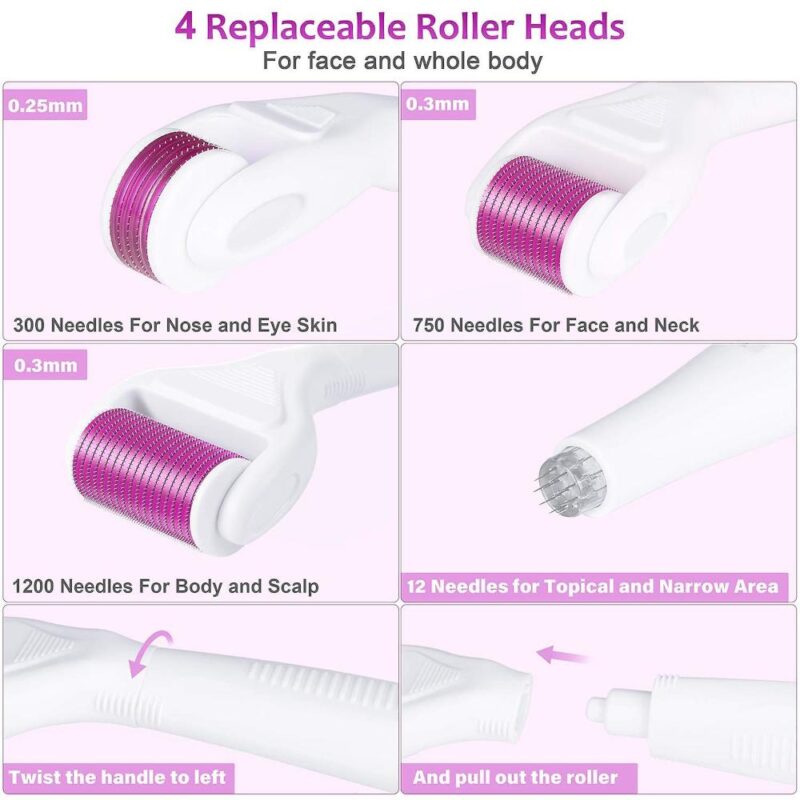 derma roller system 6 in 1 (3)