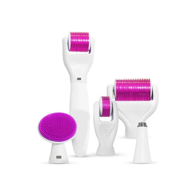 derma roller system 6 in 1