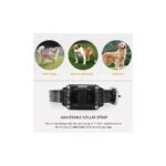 Αδιάβροχα επαναφορτιζόμενα ηλεκτρικά κολάρα εκπαίδευσης σκύλων με τηλεχειριστήριο 800m - Σετ 3τμχ - Image 2