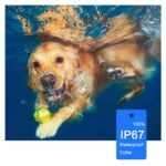 Αδιάβροχο κολάρο εκπαίδευσης σκύλων 800m - Image 4