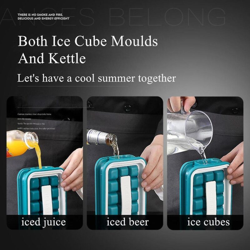 ice cube tray (4)