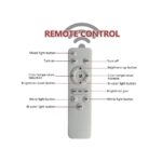 18′ Ring Light 45cm με τρίποδο δαπέδου και 3 βάσεις για κινητό - Image 5